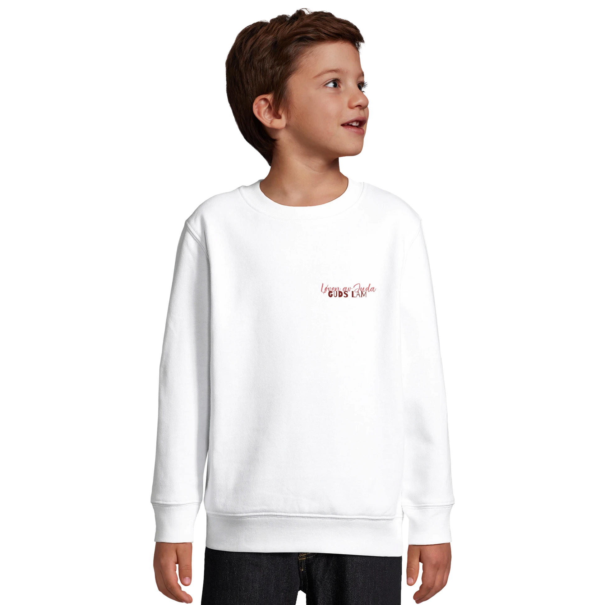 2aab751d-272d-48da-b1de-d899adc4ec1c